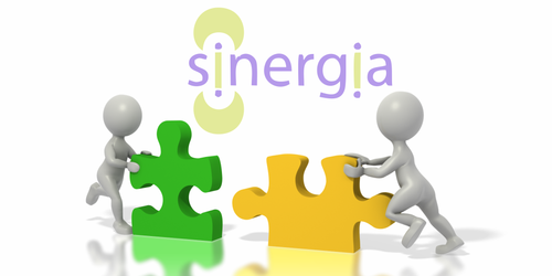 SinergiaWeb2