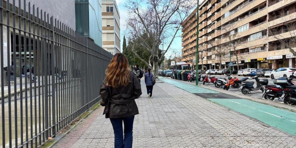 Obras de reurbanización y modernización de infraestructuras en la avenida Reina Mercedes